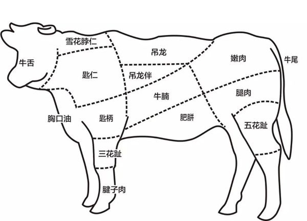 冷冻牛肉进口报关